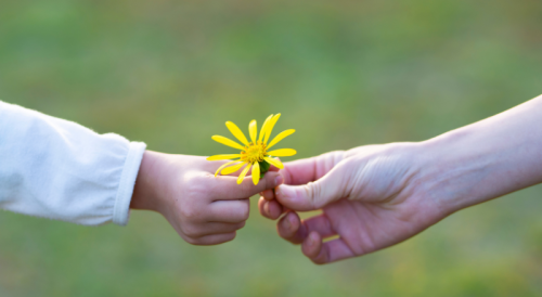Mengembangkan Sikap Bersyukur pada Anak: Dampak Positif pada Kesehatan Mental